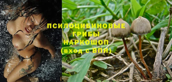 a pvp Верея