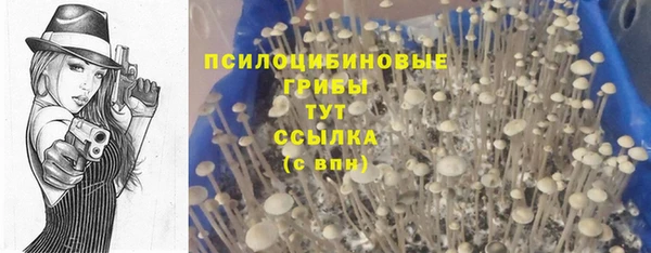 a pvp Верея