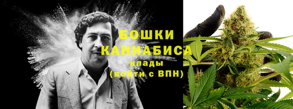 эйфоретик Верхний Тагил
